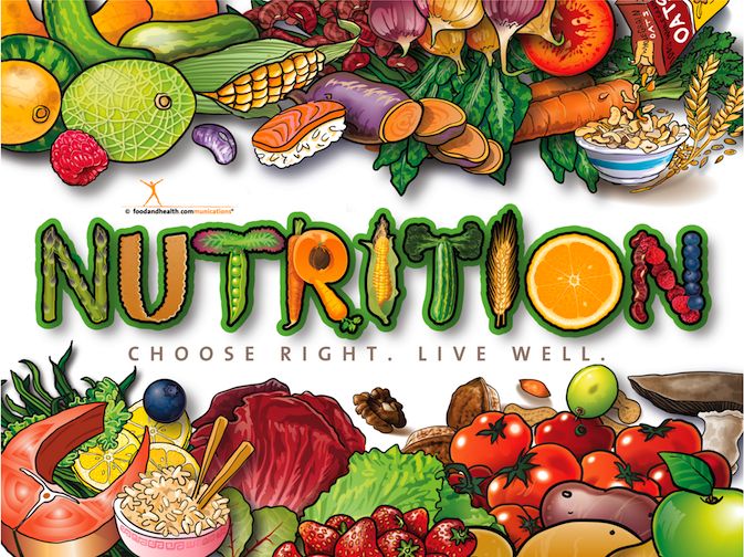 Fitness Nutrition